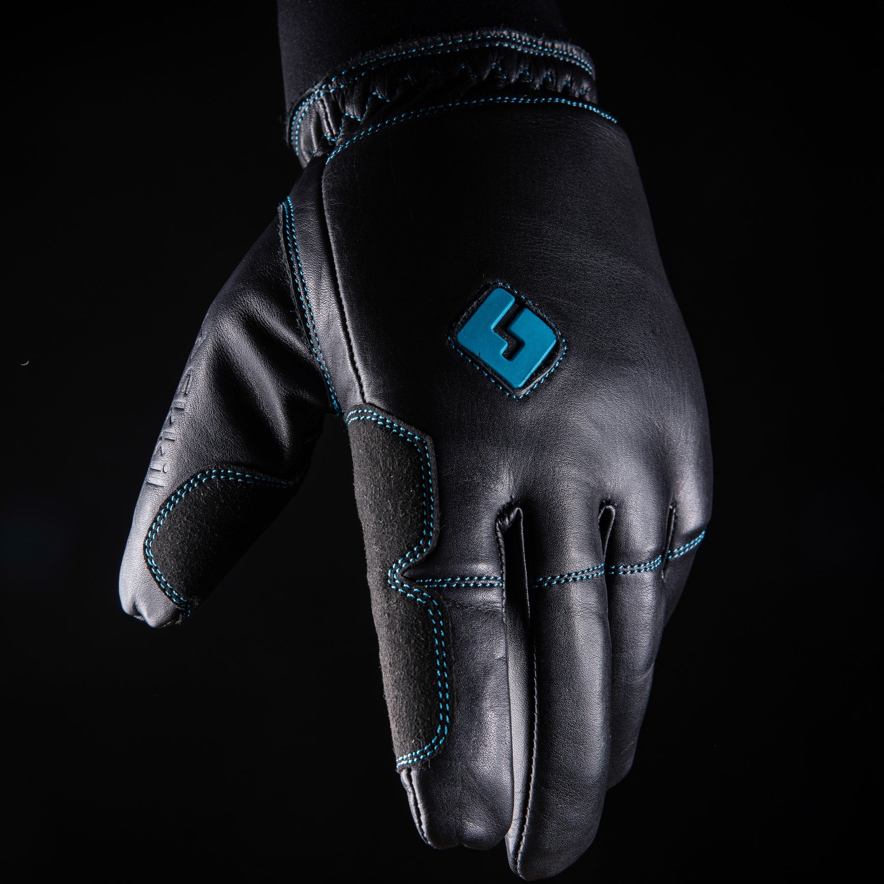 Gants de ski ALPINE GLOVES